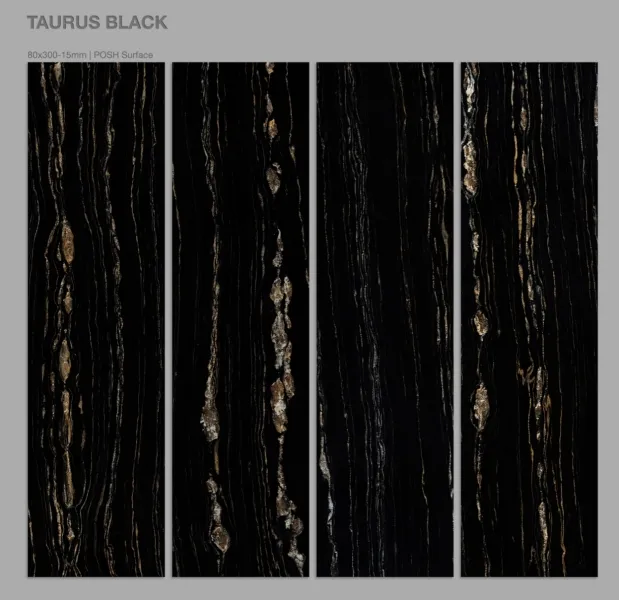 TAURUS BLACK